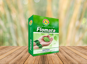 Flomata