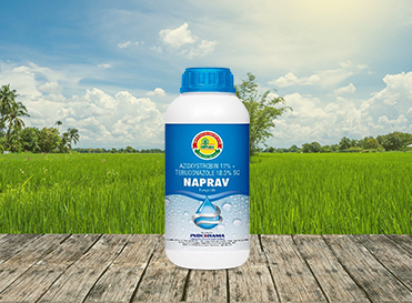 Naprav