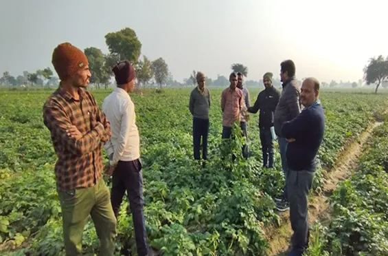 Crop Demonstrations