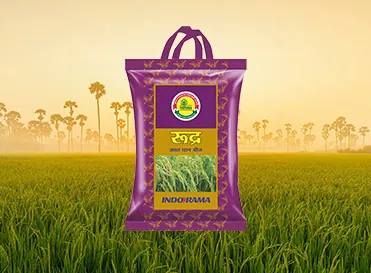 Rudra - Improved Paddy